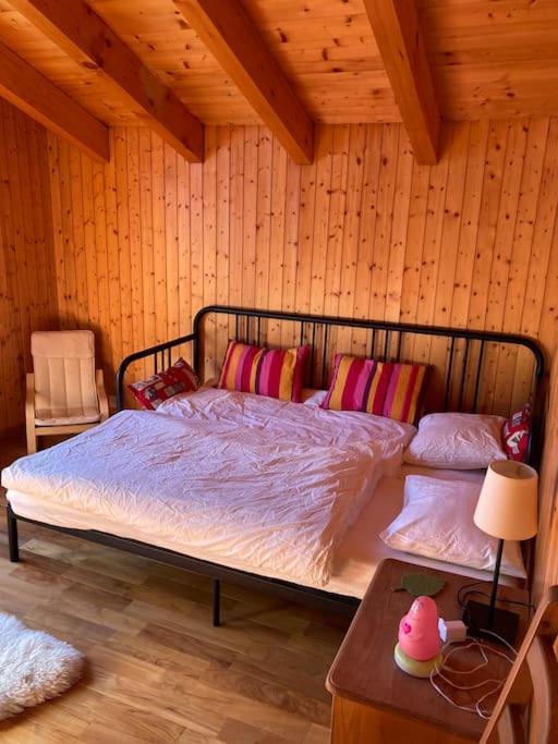 Cocoon Apartment